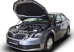 Амортизатор SKODA Octavia A7 (13-20) капота 2шт. АВТОУПОР