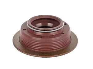 Сальник КАМАЗ фланца КПП ZF (22х36/48х14.5) SKT